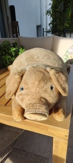 Steiff Schwein 0361/90 90 cm Knopf im Ohr perfekter Zustand.