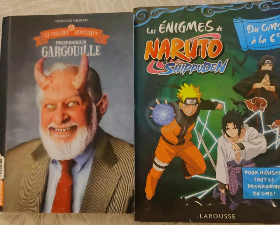 Lot livre de poche Professeur Gargouille - Les énigmes de Naruto Shippuden - Photo 1/4