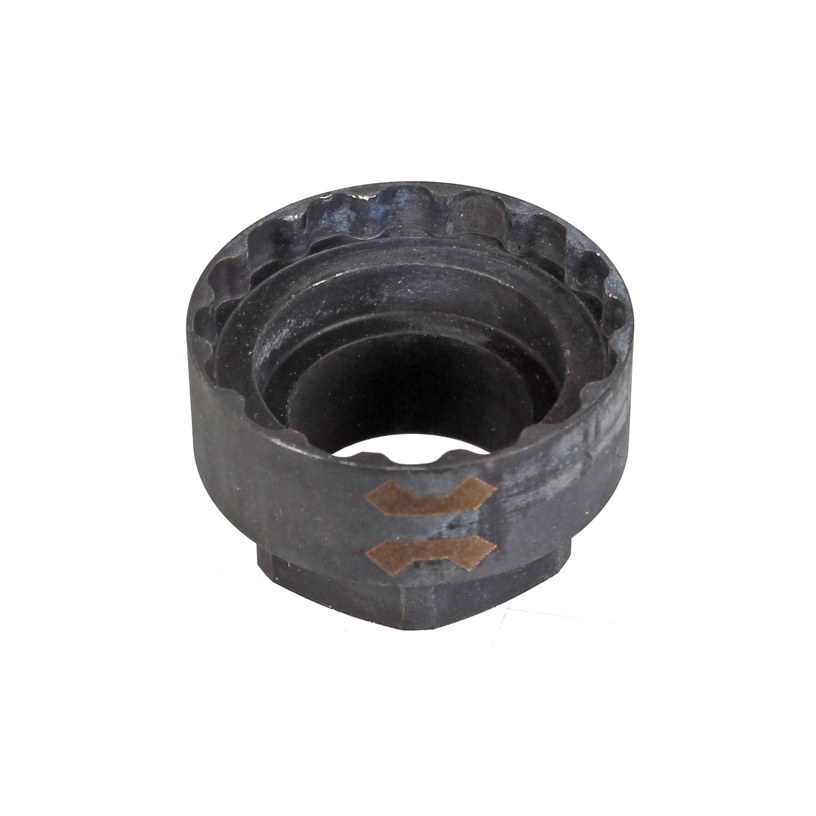 12-        Leonardi Leo XTR