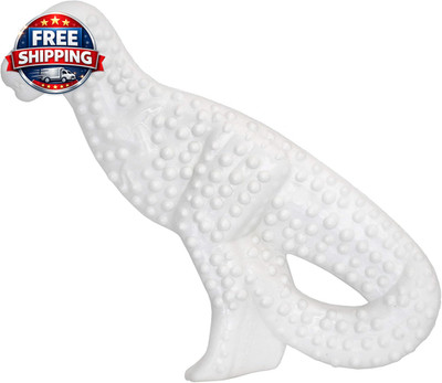 Power Chew Dental Chew Toy Durable Dinosaur Dog Toy, Chicken Flavor, Small/Regu