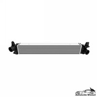 LadeluftküHler FüR Peugeot Boxer Bus Kasten, Fiat, CitroëN, Opel 06-25