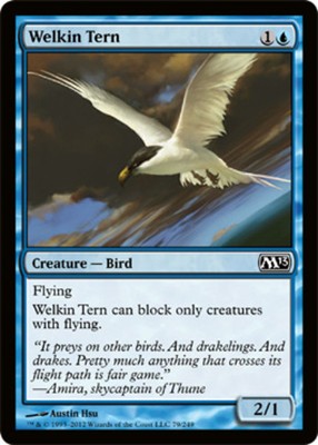 Welkin Tern LP, English MTG Magic 2013 (M13)