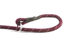 Collier Chokeur Doux Hi Viz Pour Chien Avec Clip Carabine - ROUGE