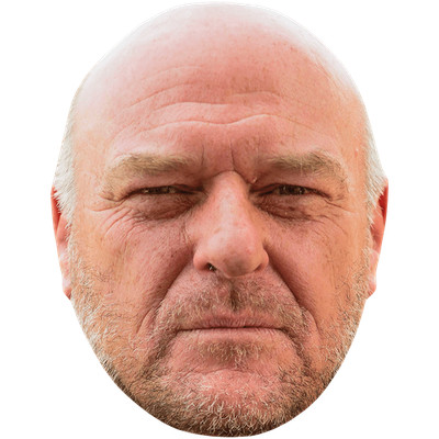 Dean Norris (Beard) Celebrity Mask, Flat Card Face, Fancy Dress Mask