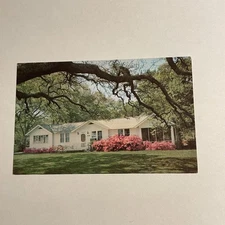 POSTCARD Beautiful Gulf Coast Home Azaleas and Live Oak Trees Alabama