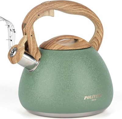 Poliviar Teekessel Wasserkessel für Induktion & Gasherd 2,7L Grün, Wasserkocher