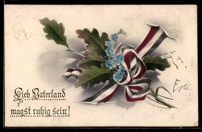 AK Spruch: Lieb Vaterland magst ruhig sein, Eichenblätter mit Schleife 1919 
