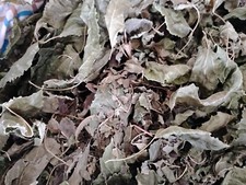 Dry Mulberry Organic Leaves 400 / 24.95 7.50 Shipp