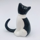 Black and White Cat Hand Painted Fine Bone China — photo 3