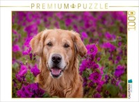 Calvendo Puzzle Golden Retriever In A Sea Of Flowers | 1000 Pieces, Finished Siz