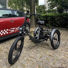 Fafrees 20 Zoll Elektro Dreirad 250W 3 Räder Elektrofahrrad Cargo Trike Tricycle