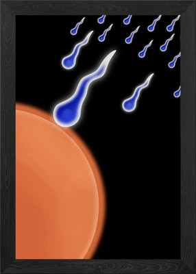 Spermienei blaues Sperma rast in Richtung gerahmtes Wandbild Poster Leinwanddruck Bild