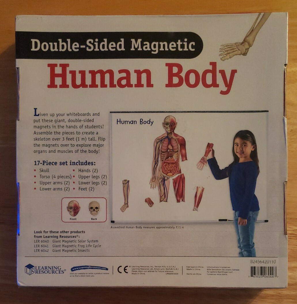 NIB Learning Resources Double-sided Magnetic Human Body Set, 17 Pieces ...