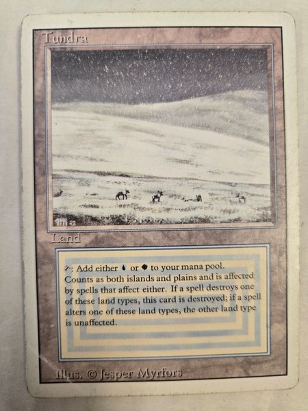 MTG Magic The Gathering HP REVISED TUNDRA