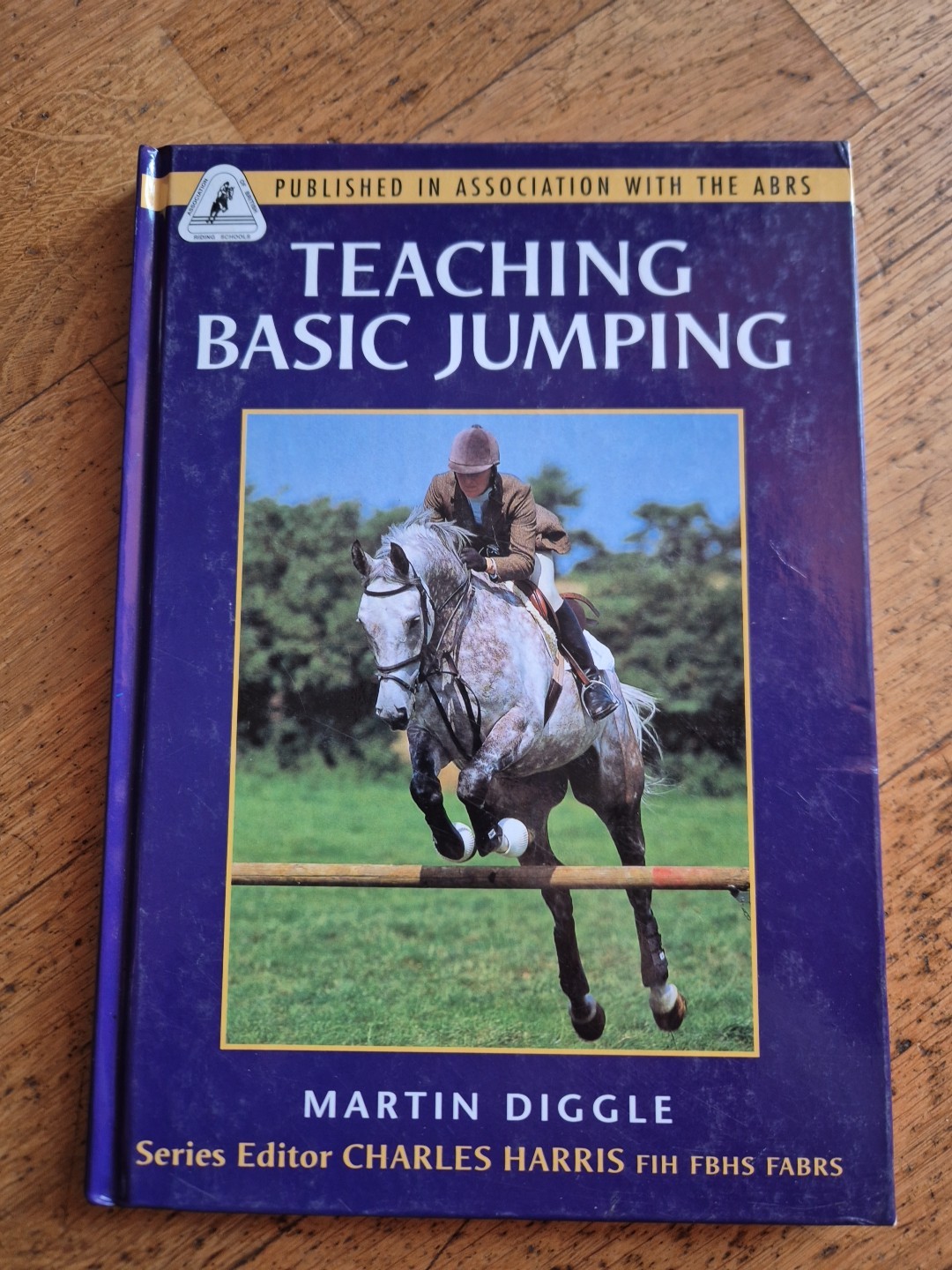Teaching Basic Jumping Martin Diggle Show Jumping Horse sports Equestrian horses