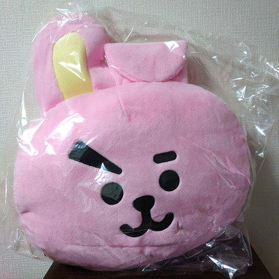 BTS Bt21 Basic Gesichtskissen Große Größe Cooky Line Friends Offizieller Kpop...