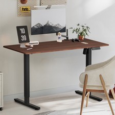 Height Adjustable Electric Standing Desk w/ USB A-Charging Port and Desk Drawer