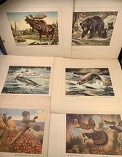 1946 Seagram's Distillers Sportsman's Vintage Art Prints