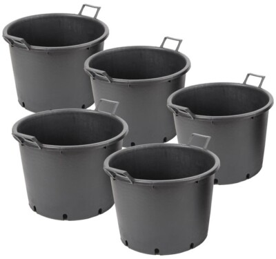 bermuda grass planter Bermuda Grass Plant  MyOwnGarden
