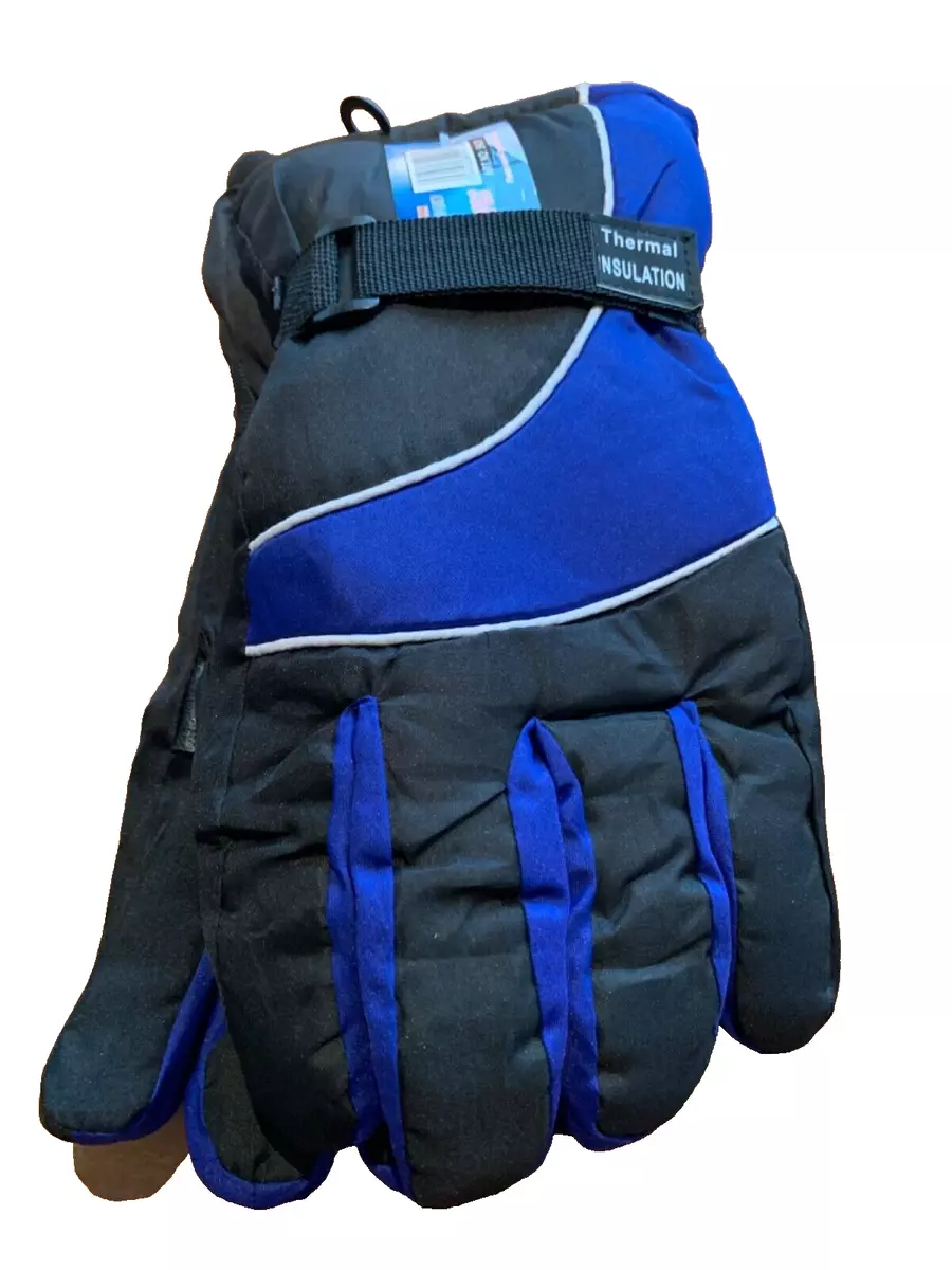 Blue on sale ski gloves
