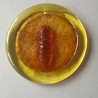 Blenko Handmade Glass Honey Bee Suncatcher Ornament in Tangerine Signed