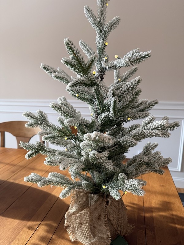Pottery Barn 2ft Pre-Lit Faux Frosted Pine Christmas Tree (Battery) Burlap Base