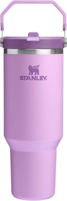 #ad STANLEY IceFlow 2.0 Flip Straw Tumbler with Handle 40 oz Lilac $39.99