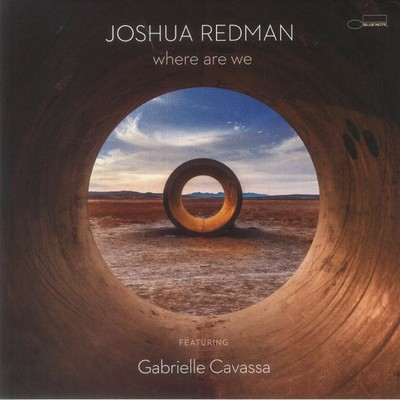 REDMAN, Joshua feat GABRIELLE CAVASSA - Where Are We - Vinyl (2xLP)