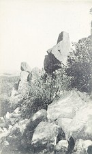 Lithograph Postcard A. G. Campbell Landscape ...