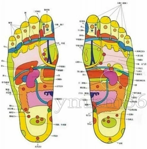 200pcs Detox Foot Patches Pads Body Toxins Feet Slimming Cleansing Herbal Patch - Picture 11 of 21