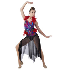 Group Lot of 8 Adult Large Lyrical Ballet Dance Costume Dress MOSAIC