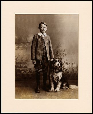 BEARDED COLLIE BOY AND HIS DOGS LOVELY MOUNTED DOG PHOTO PRINT READY TO FRAME