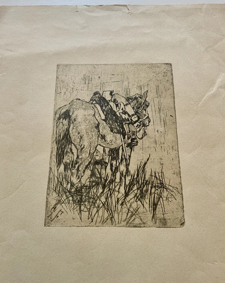 Stampa Antica Incisione  Giovanni Fattori “ Cavallo” - Immagine 4 di 4