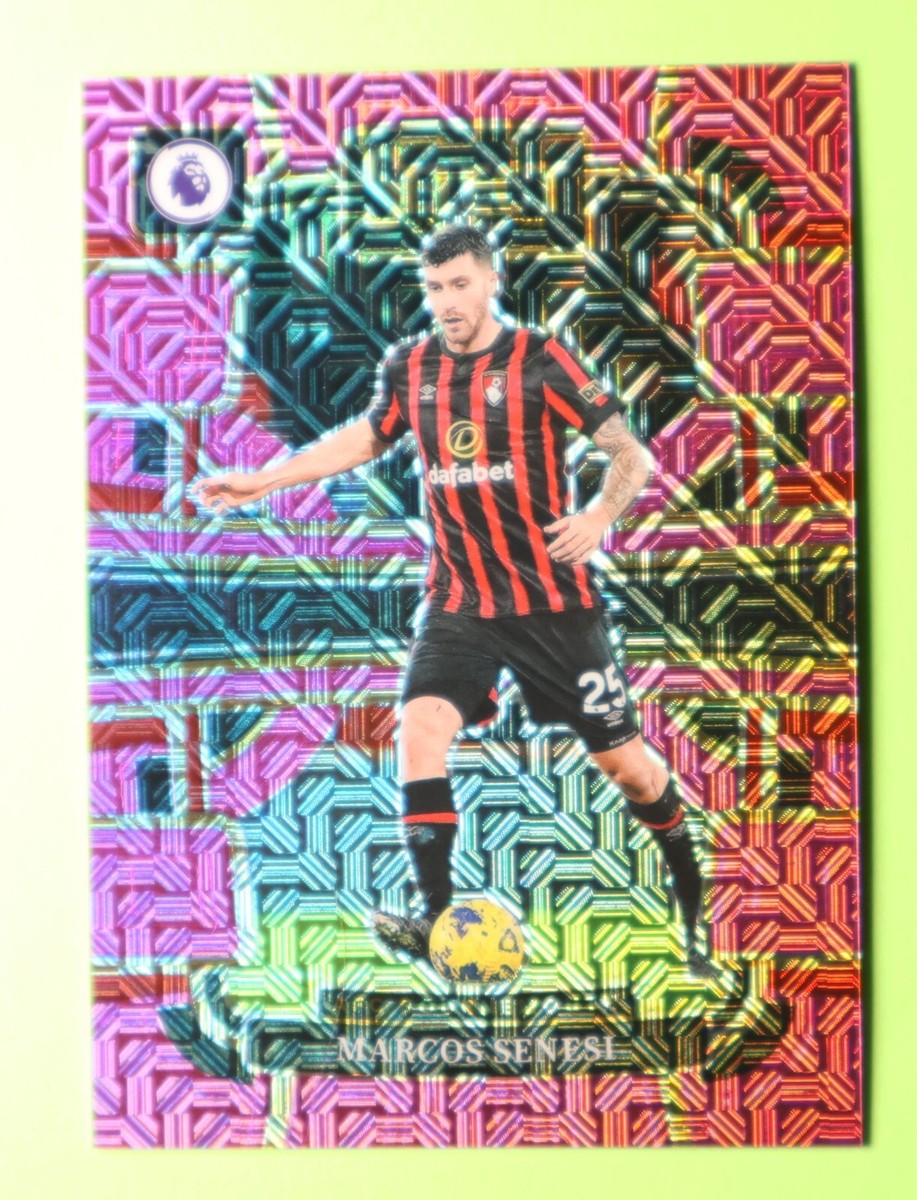 アレクサンダル・ミトロヴィッチ PANINI SELECT EPL /10