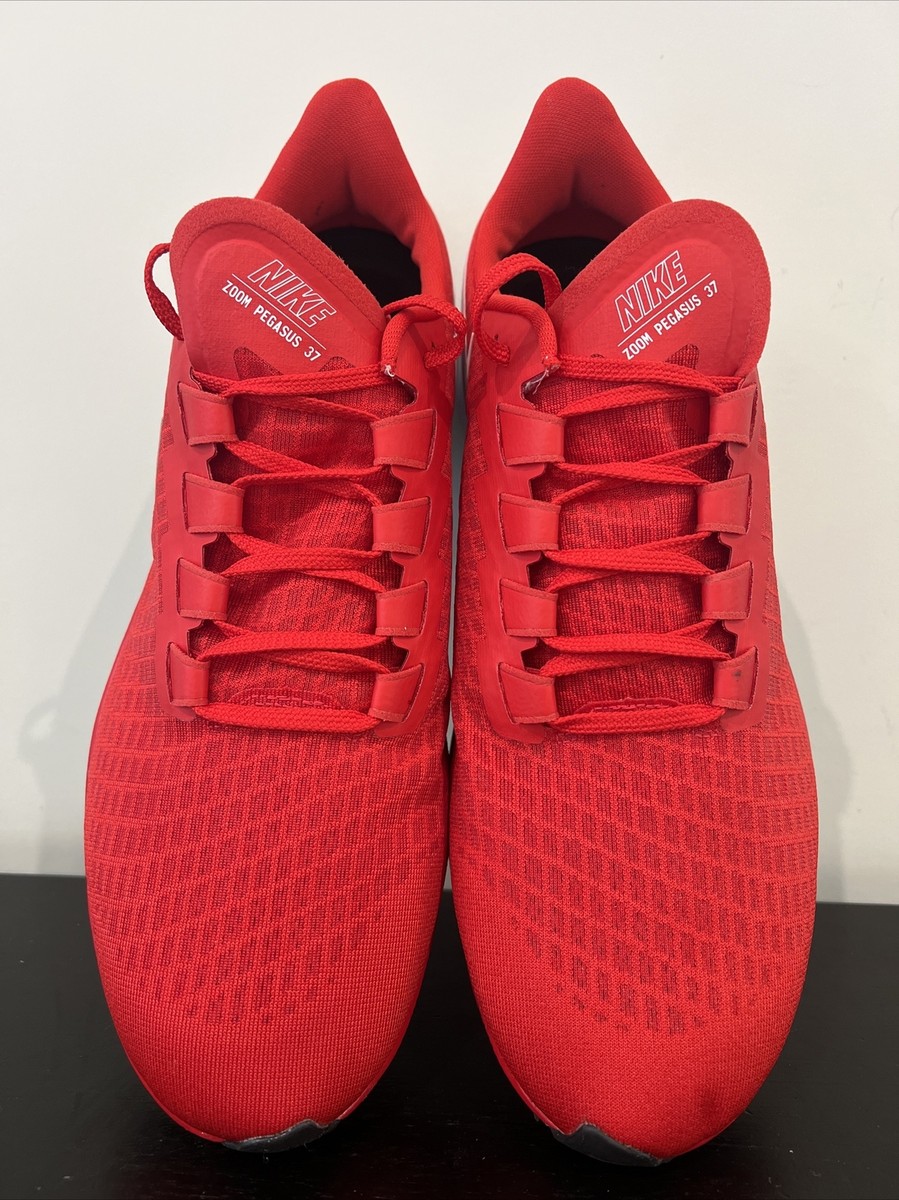 Nike Air Zoom Pegasus 37 TB Red Shoes CJ0677-602 Mens Size  display picture 1