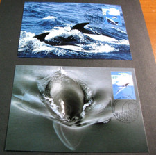 Australia-Antarctic Ter. Post Cards Scott# L94-L97  Whales & Dolphins 1995 L741