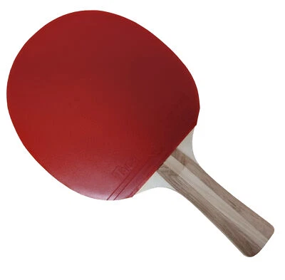Raquettes de ping-pong Charlsten Professionel - Photo 1/2