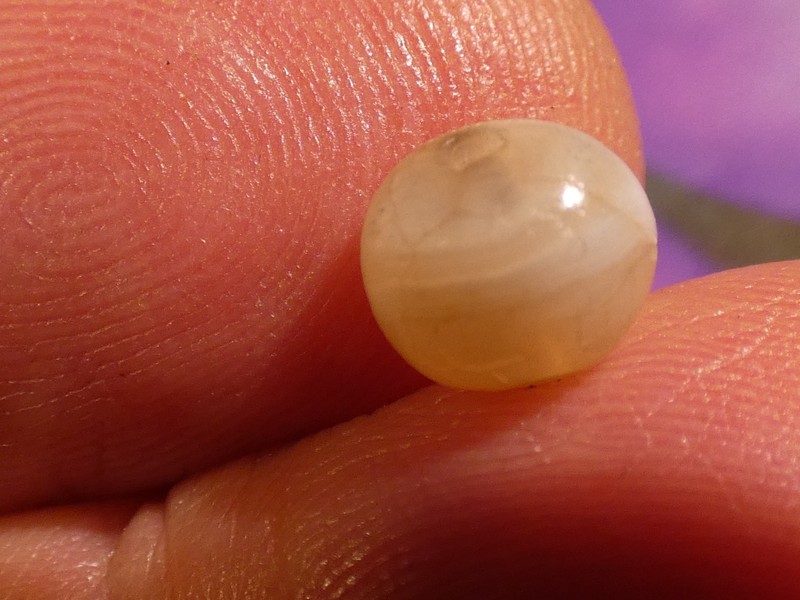 ANCIENT PYU BEAUTIFUL BANDED CHALCEDONY AGATE ROUNDED SHAPE BEAD 7.4-6.7 MM
