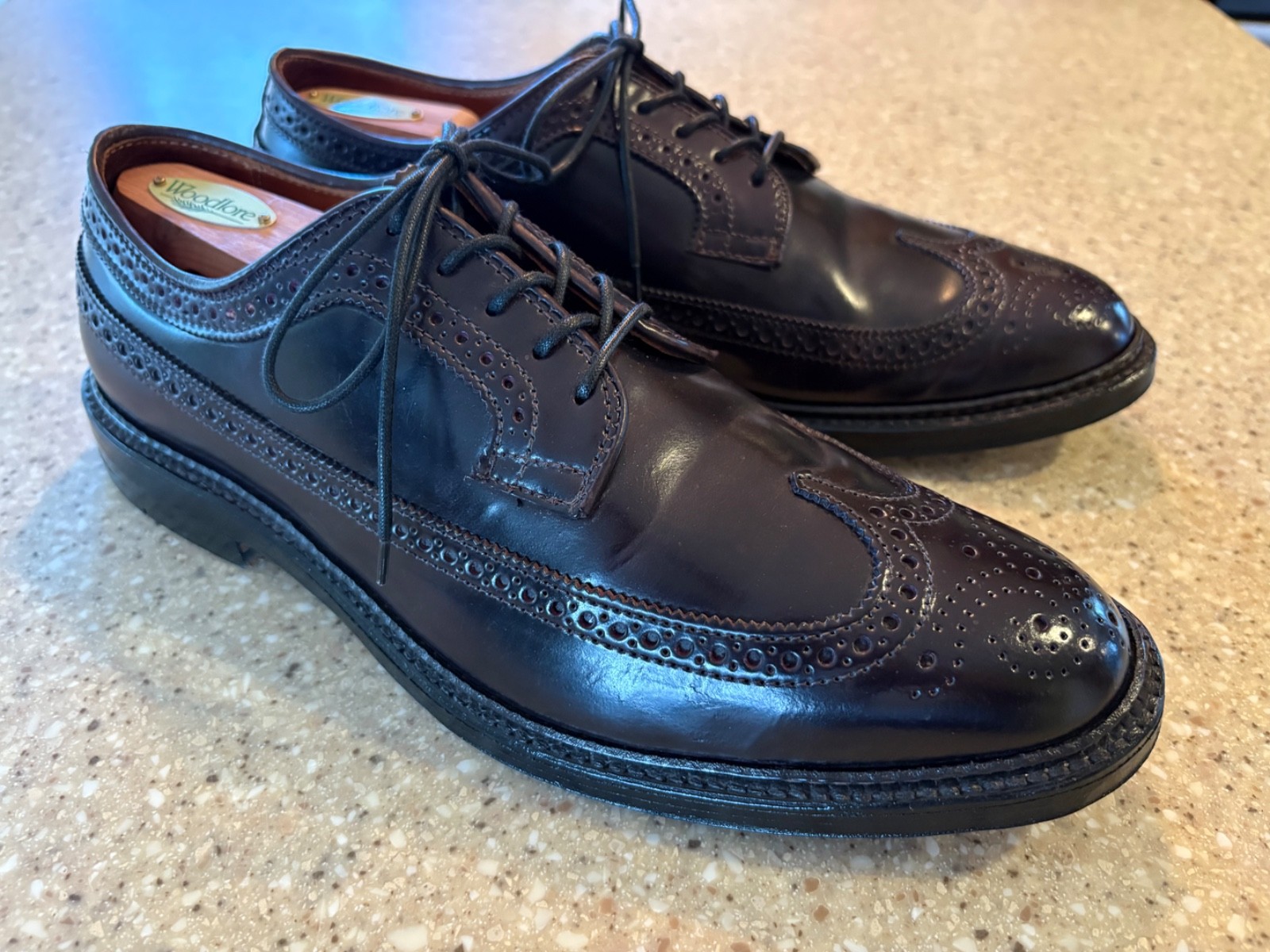 Alden 975 Color 8 Shell Cordovan Long Wing Blucher