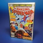 1979 AMAZING SPIDER-MAN 195 | 2nd BLACK CAT FELICIA HARDY | b13c-1910
