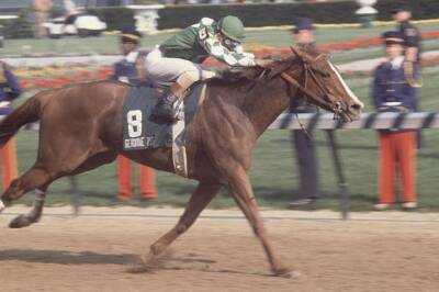 Genuine Risk 1980 Kentucky Derby Win 2 Old Horse Racing Photo | eBay