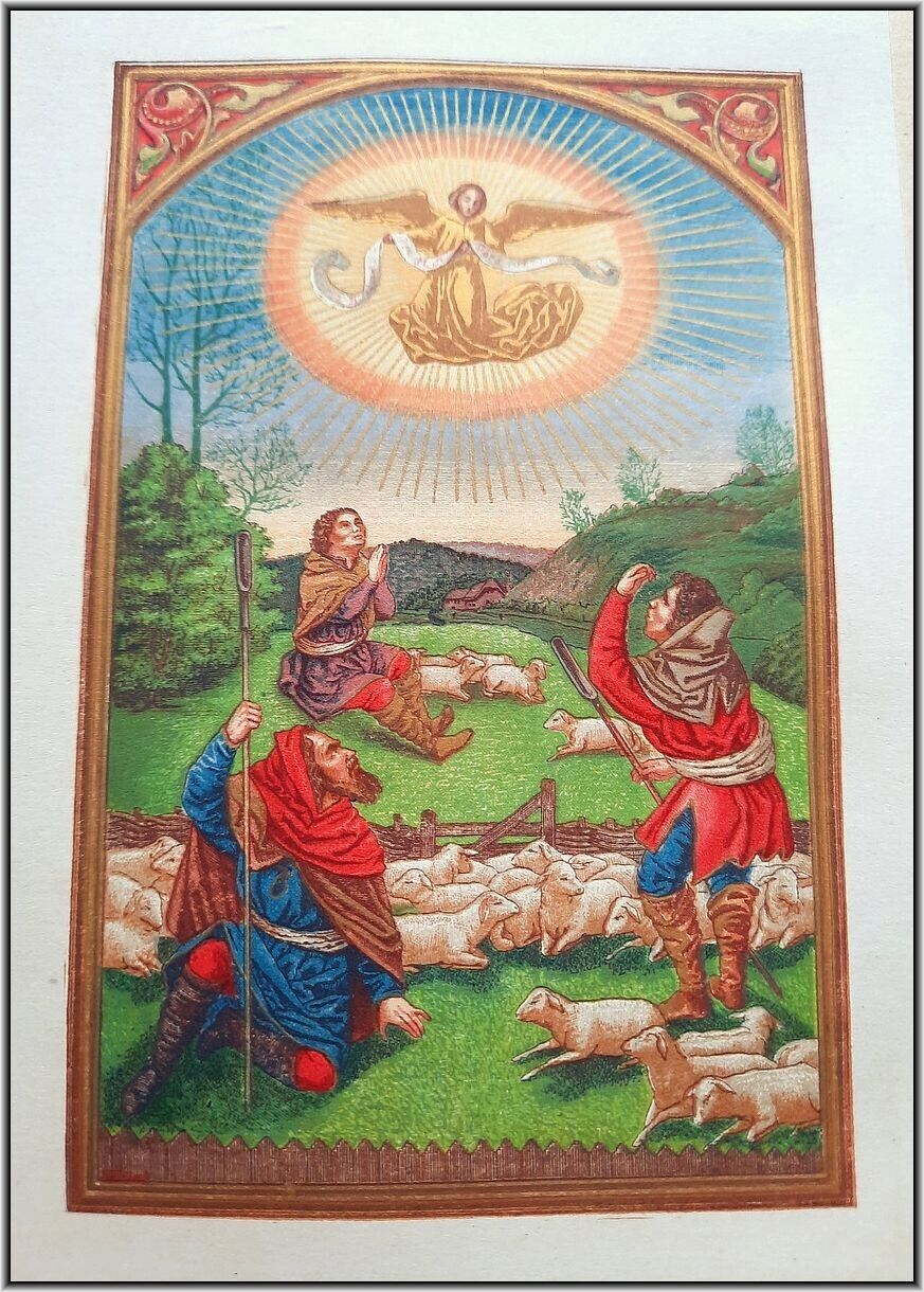 Picture 5 of 24