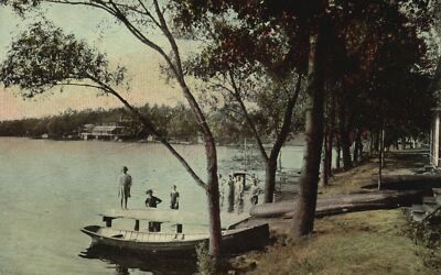 Vintage Postcard 1912 Tamarack Swamp  Sproul State Forest Clinton County Penn PA