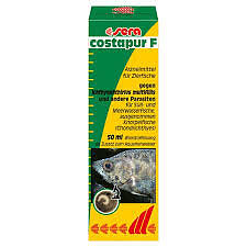 sera costapur F 50ml gegen Hautparasiten Ichthyo 