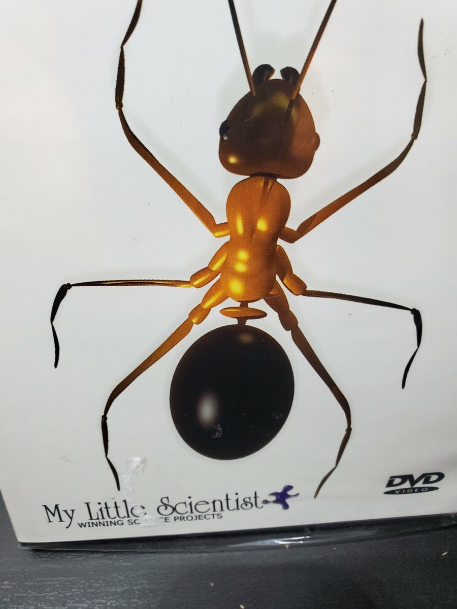 My Little Scientist DVD: The Incredible Ant: Winning Science