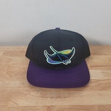 Vintage Tampa Bay Devil Rays Twin Enterprise Small/Youth Snapback Hat Read Desc
