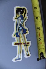 Hook-Ups Skateboard Demon Killer Nabiki 90's GB1 Vintage Skateboarding STICKER