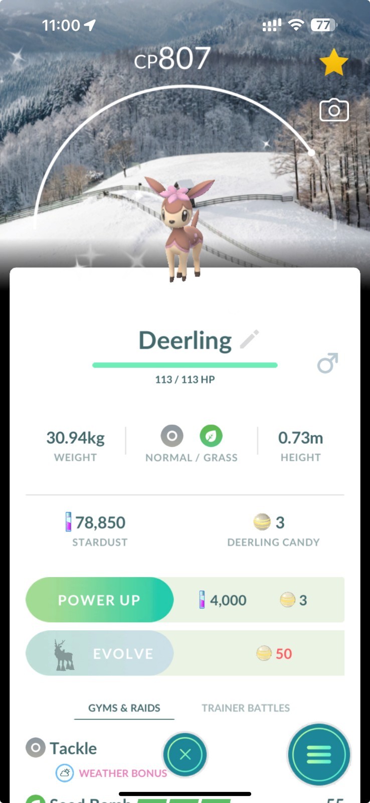 Shiny Deerling Pyeongchang Winter Festival Background - PTCs 0R Trade