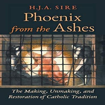 Phoenix from the Ashes The Making Unmaking and Restoration of Cat