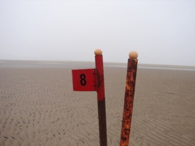 Foto 6x4 Zwei Birdies Donna Nook It's ein Rätsel wie diese Eier waren c2009